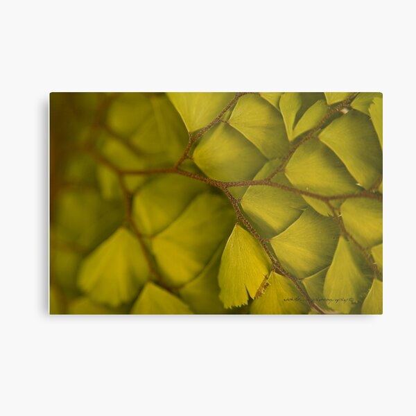 Metal Print