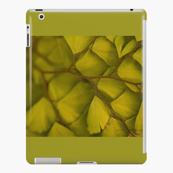 iPad Retina/3/2 - Snap
