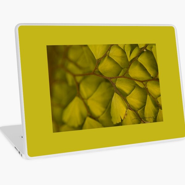 Macbook Air 13" (2015)