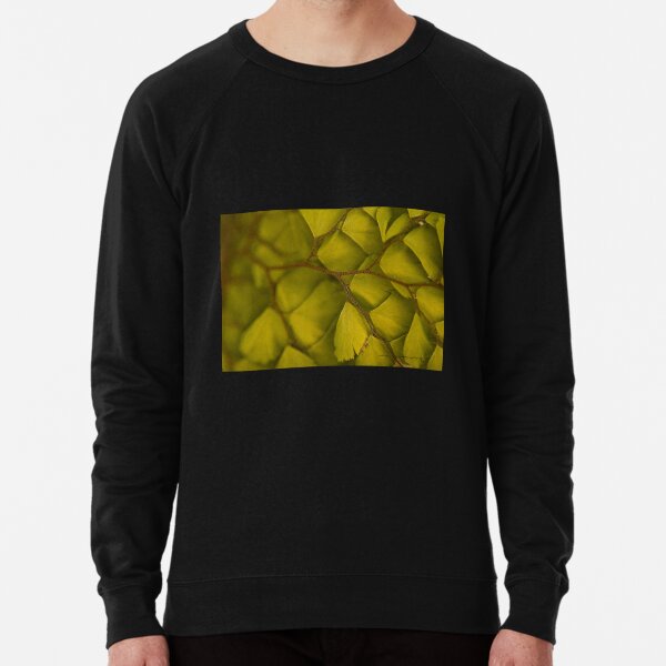 Lightweight Sweatshirt