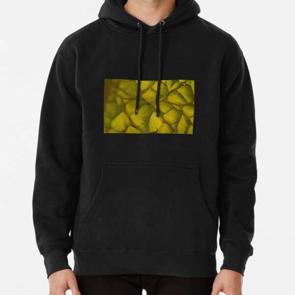 Hoodie (Pullover)
