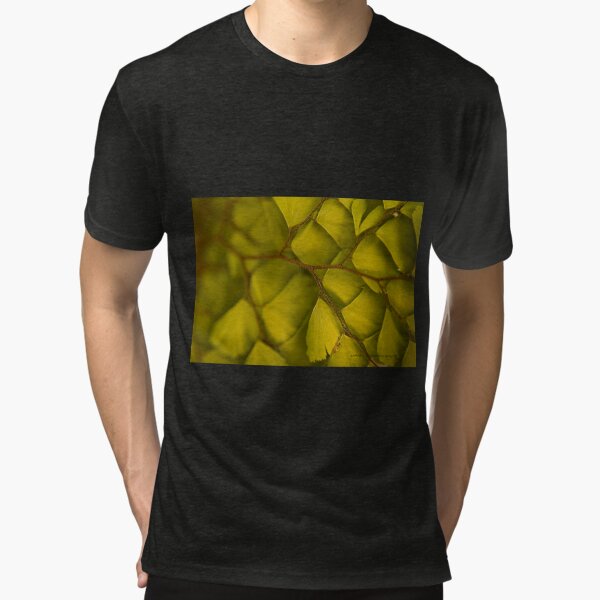 Tri-blend T-Shirt