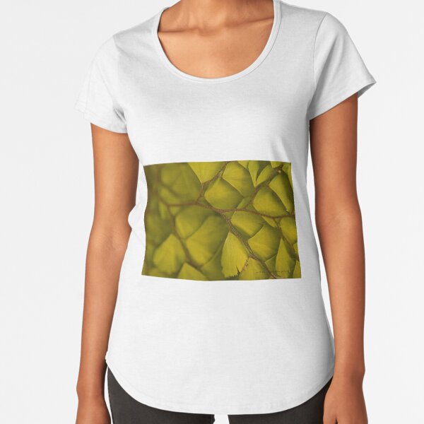 Premium Scoop T-Shirt