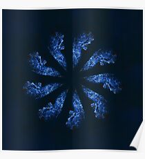 STP Screen Transfer Process - 0077 - Skull or Skin Mandala Poster