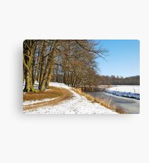 I promised you new snow Canvas Print