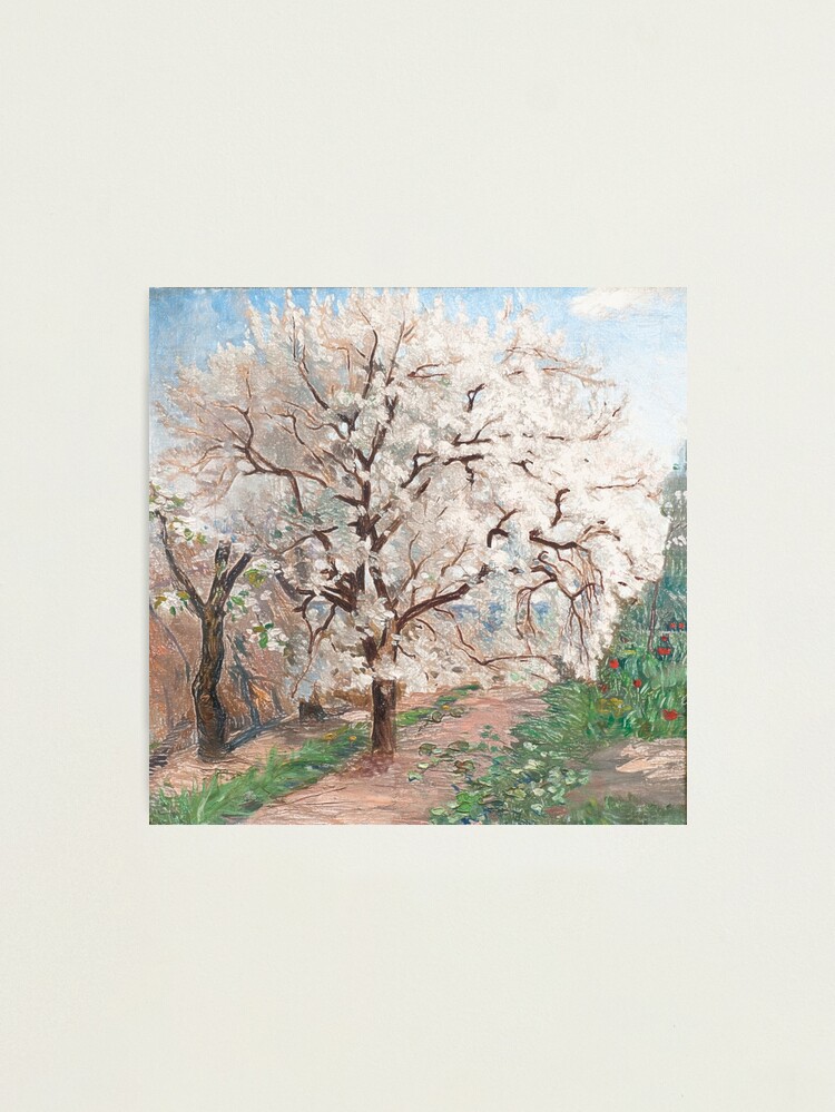 Alternate view of Trees in blossom Photographic Print