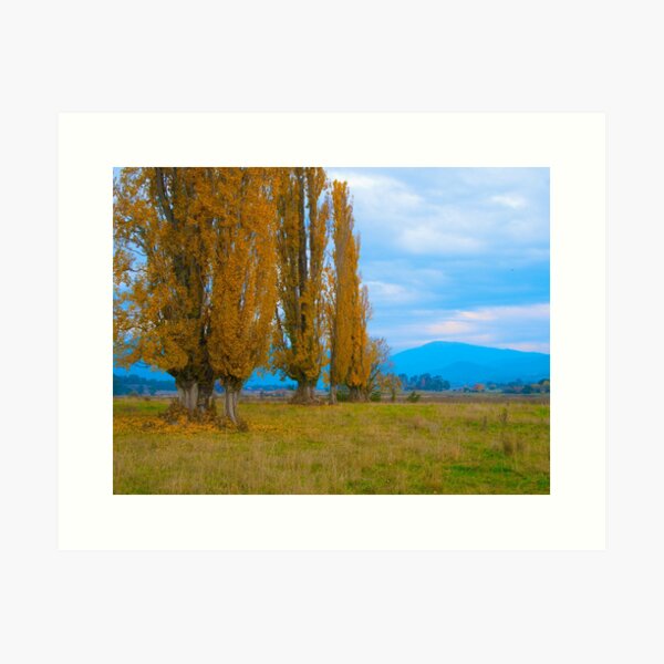 Item preview, Kiewa Valley Landscape designed and sold by johnrf.