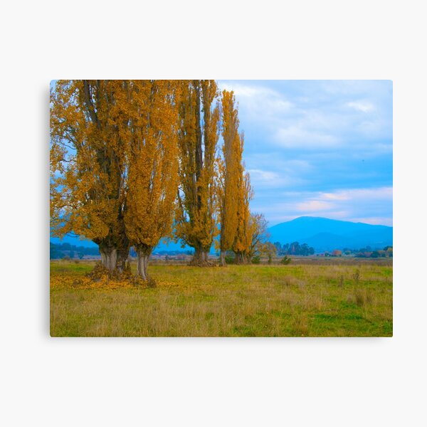 Item preview, Kiewa Valley Landscape designed and sold by johnrf.