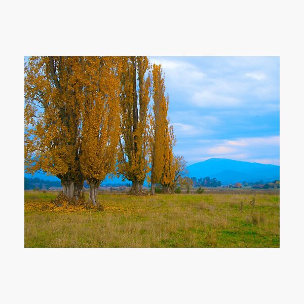 Item preview, Kiewa Valley Landscape designed and sold by johnrf.