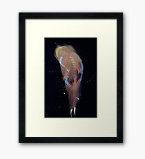 WDVMM - 0495 - Old Year Framed Print