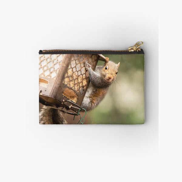 Item preview, Whaddya Mean It's Not a Squirrel Feeder designed and sold by maryannaga.