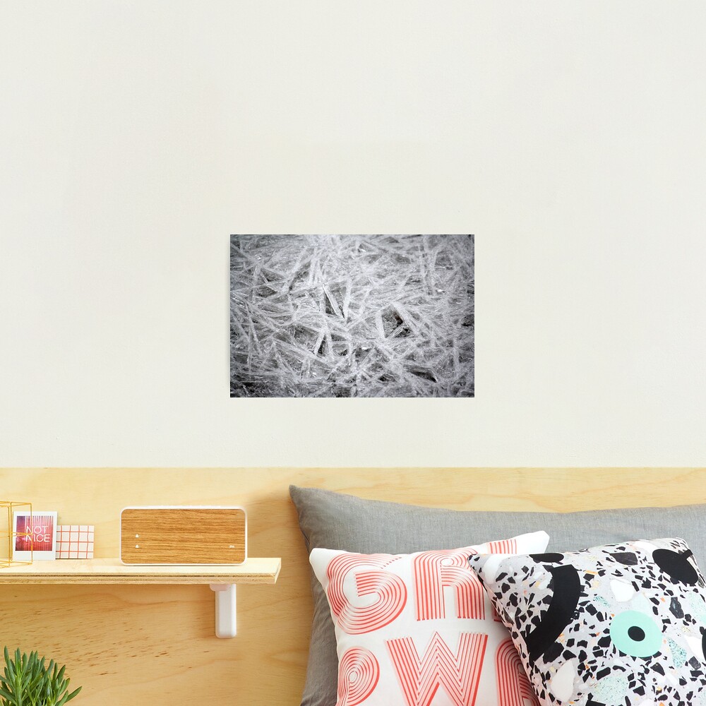 Ice Crystals Photographic Print