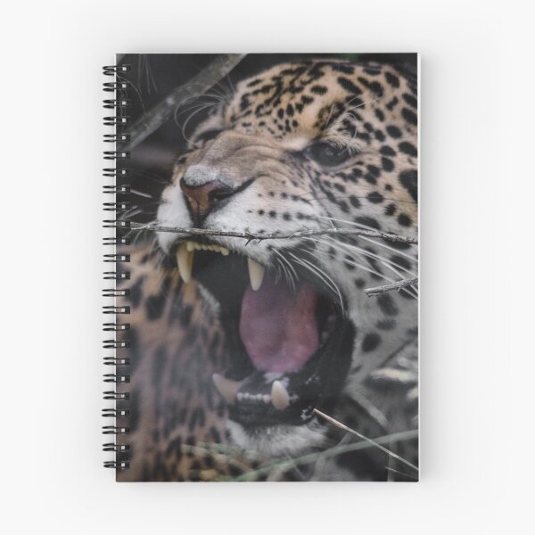 Item preview, Jag Snarl designed and sold by Kyra C. Kalageorgi.