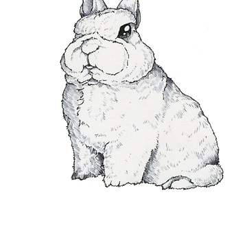 Artwork thumbnail, Dwarf Rabbit - Cute Dwarf Rabbit Shirt - Gift For Rabbit Lovers - Dwarf Rabbit Owners by Galvanized