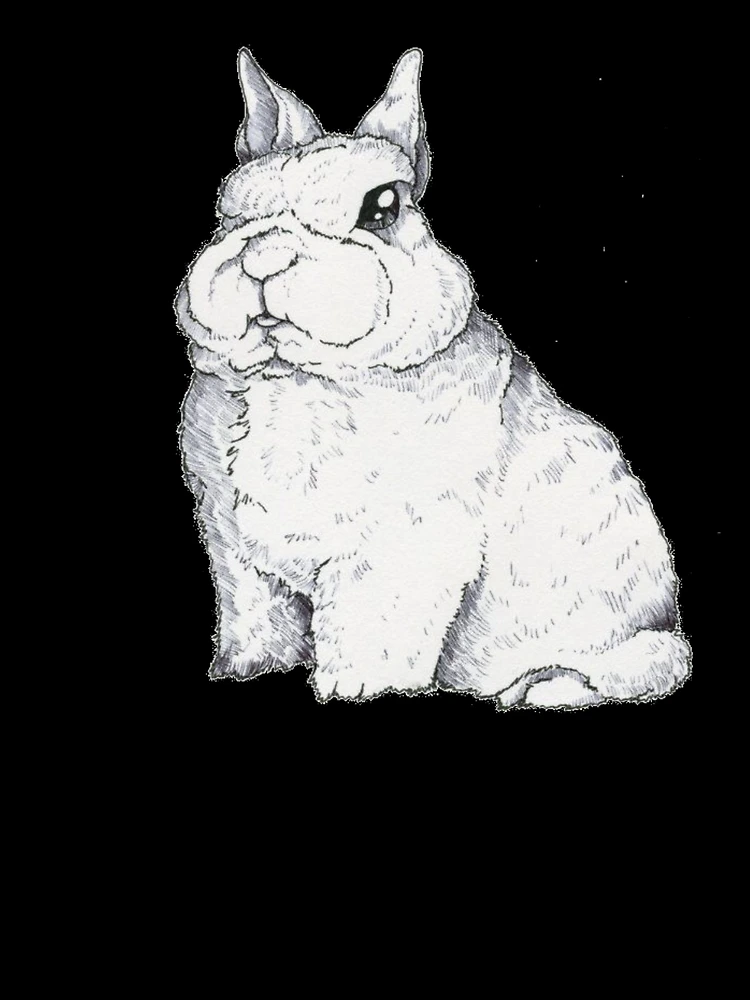 Thumbnail 3 of 3, Scarf, Dwarf Rabbit - Cute Dwarf Rabbit Shirt - Gift For Rabbit Lovers - Dwarf Rabbit Owners designed and sold by Galvanized.