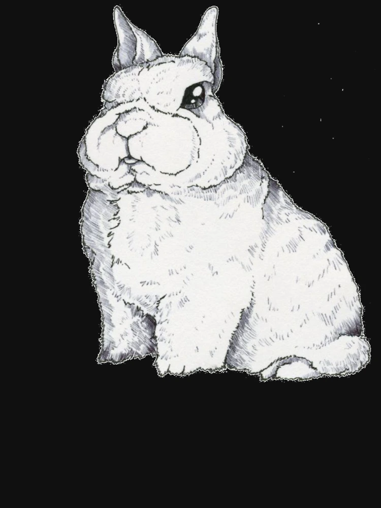 Thumbnail 6 of 6, Lightweight Sweatshirt, Dwarf Rabbit - Cute Dwarf Rabbit Shirt - Gift For Rabbit Lovers - Dwarf Rabbit Owners designed and sold by Galvanized.