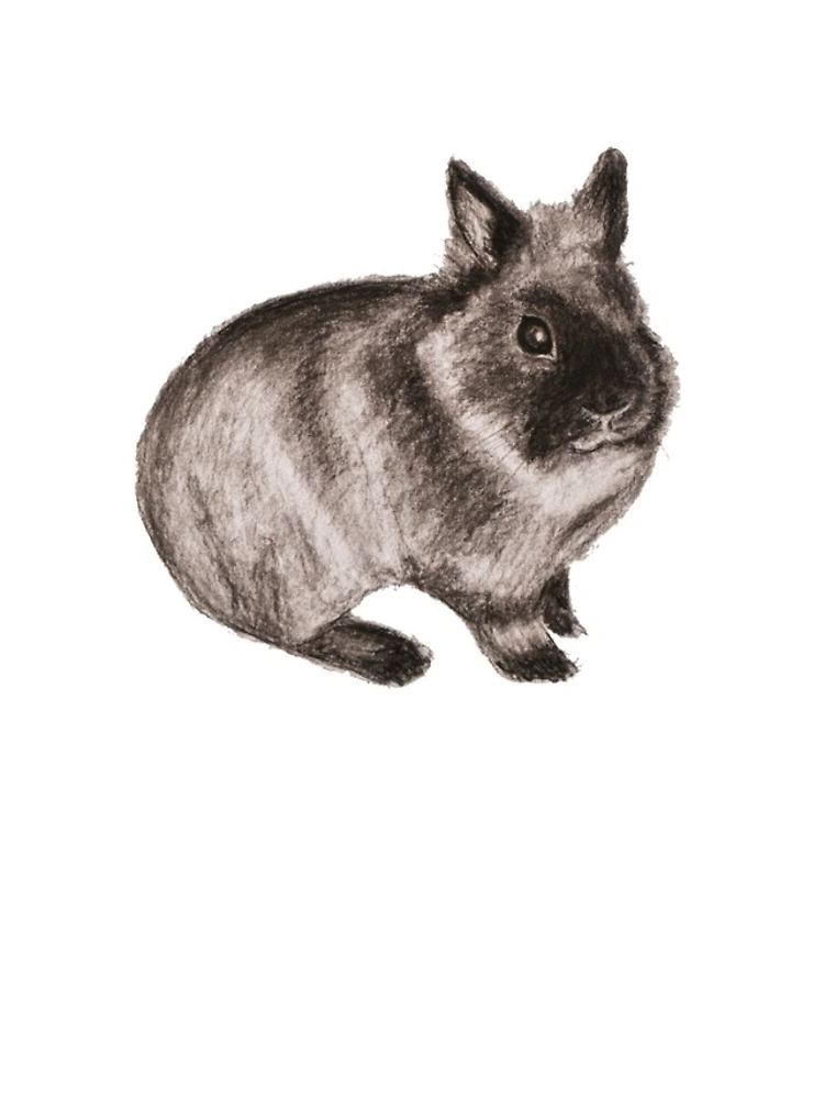 Thumbnail 4 of 4, Samsung Galaxy Phone Case, Dwarf Rabbit - Cute Dwarf Rabbit - Gift For Rabbit Lovers And Rabbit Owners designed and sold by Galvanized.