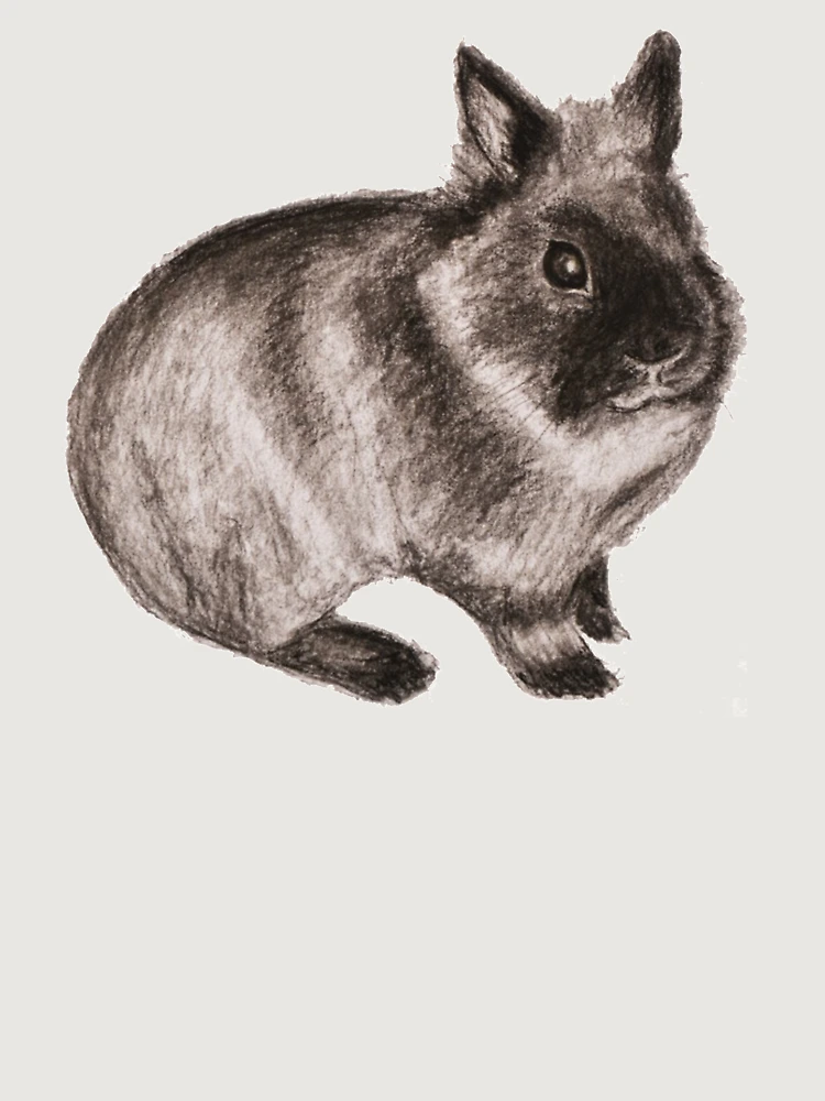 Thumbnail 6 of 6, Premium Oversized Hoodie, Dwarf Rabbit - Cute Dwarf Rabbit - Gift For Rabbit Lovers And Rabbit Owners designed and sold by Galvanized.