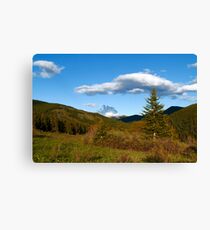 Wild coniferous Canvas Print