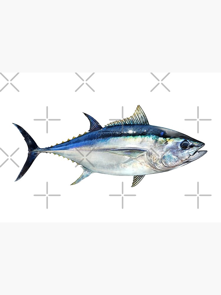 Bigeye Tuna | Art Board Print