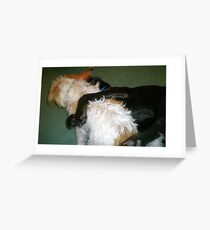 The Cuddle Greeting Card