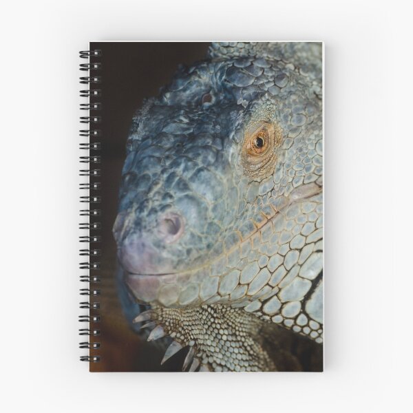 Item preview, Iguana designed and sold by Kyra C. Kalageorgi.