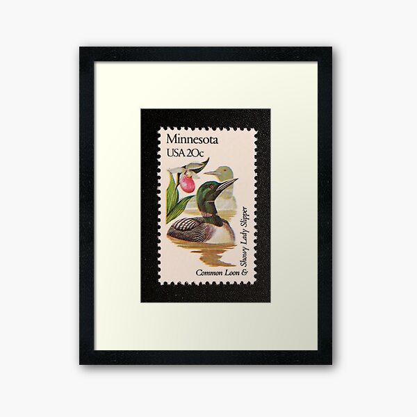 1982 20c Minnesota State Bird & Flower Postage Stamp Framed Art Print