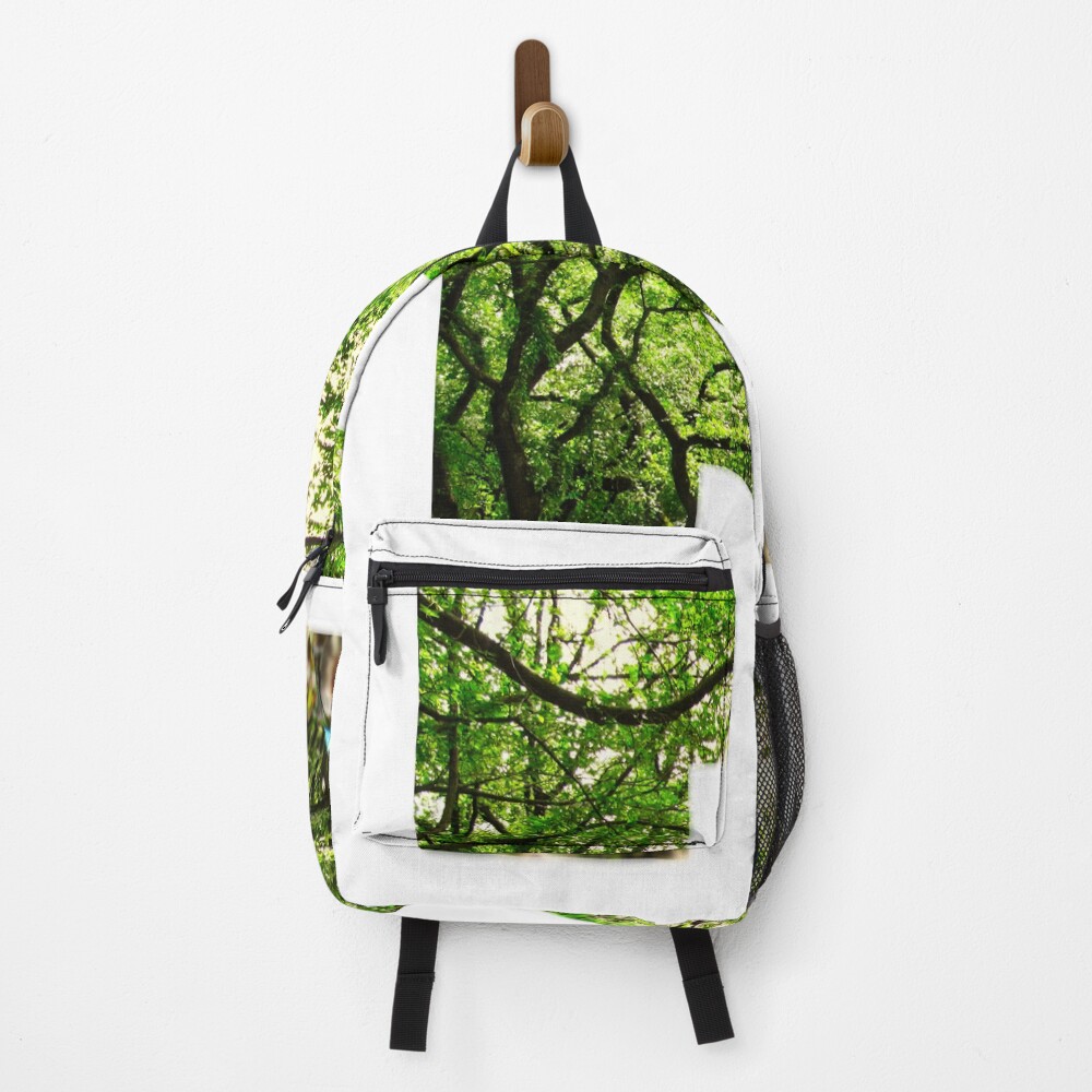 Central Park - Letter R on a backpack