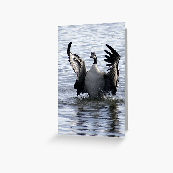 You're Invited Greeting Card