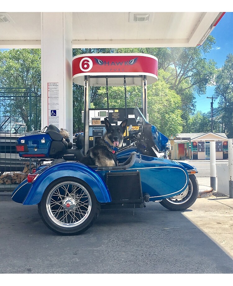 “Dog in Motorcycle Sidecar Vintage” iPad Case & Skin for Sale by