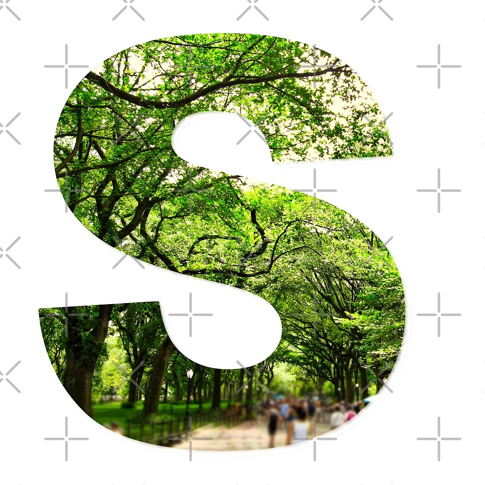 Central Park - Letter S — Poster