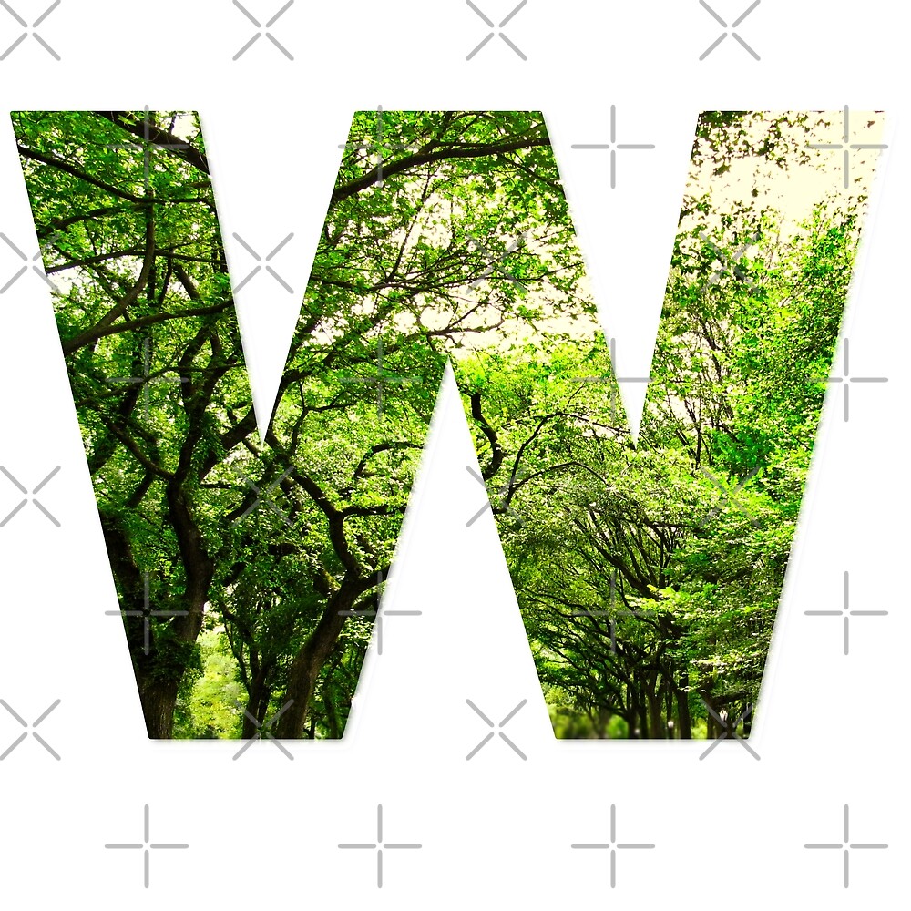 Central Park - Letter W — Poster