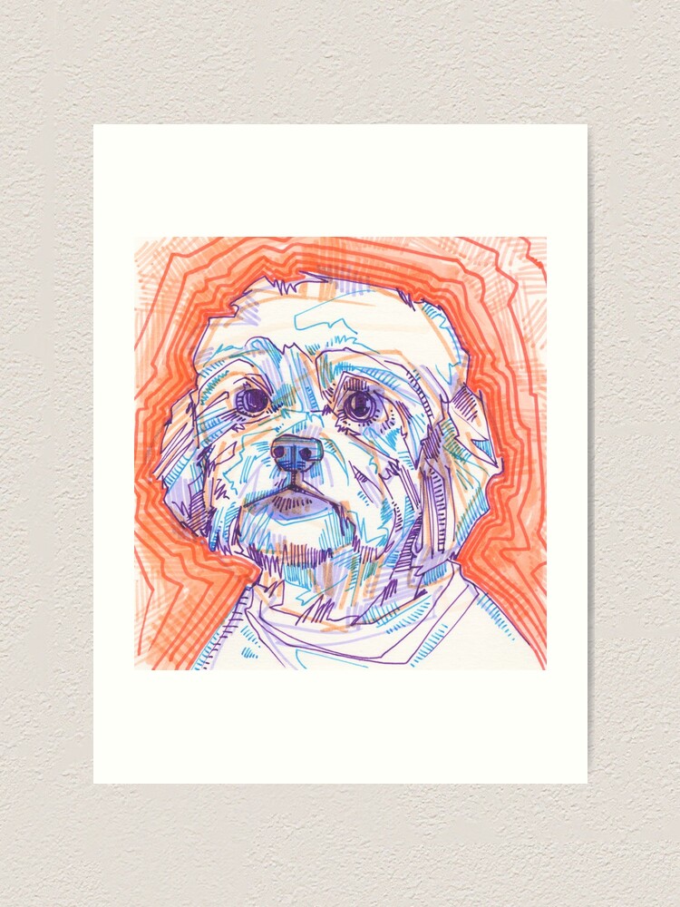 Alternate view of Lhasapoo Drawing - 2016 Art Print