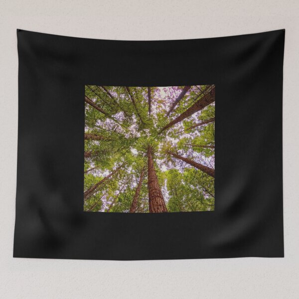 Item preview, Rotorua Redwood Canopy designed and sold by TonyCrehan.