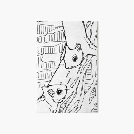 Gray Squirrel, Coloring Book Page Art Board Print