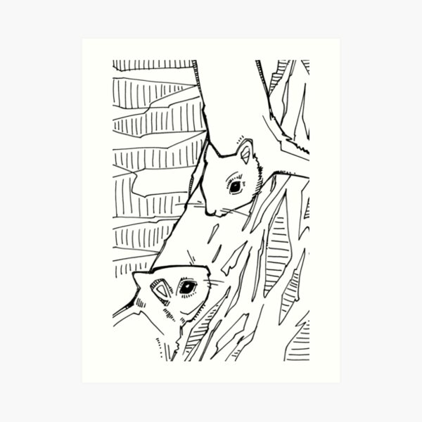 Gray Squirrel, Coloring Book Page Art Print