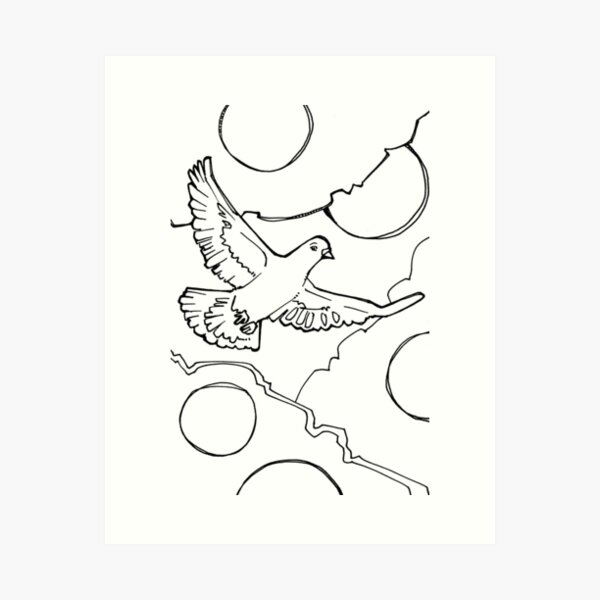 Rock Pigeon, Coloring Book Image Art Print