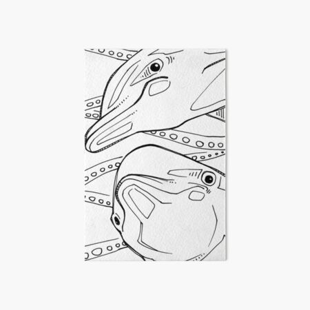 Bottlenose Dolphin, Coloring Book Image Art Board Print