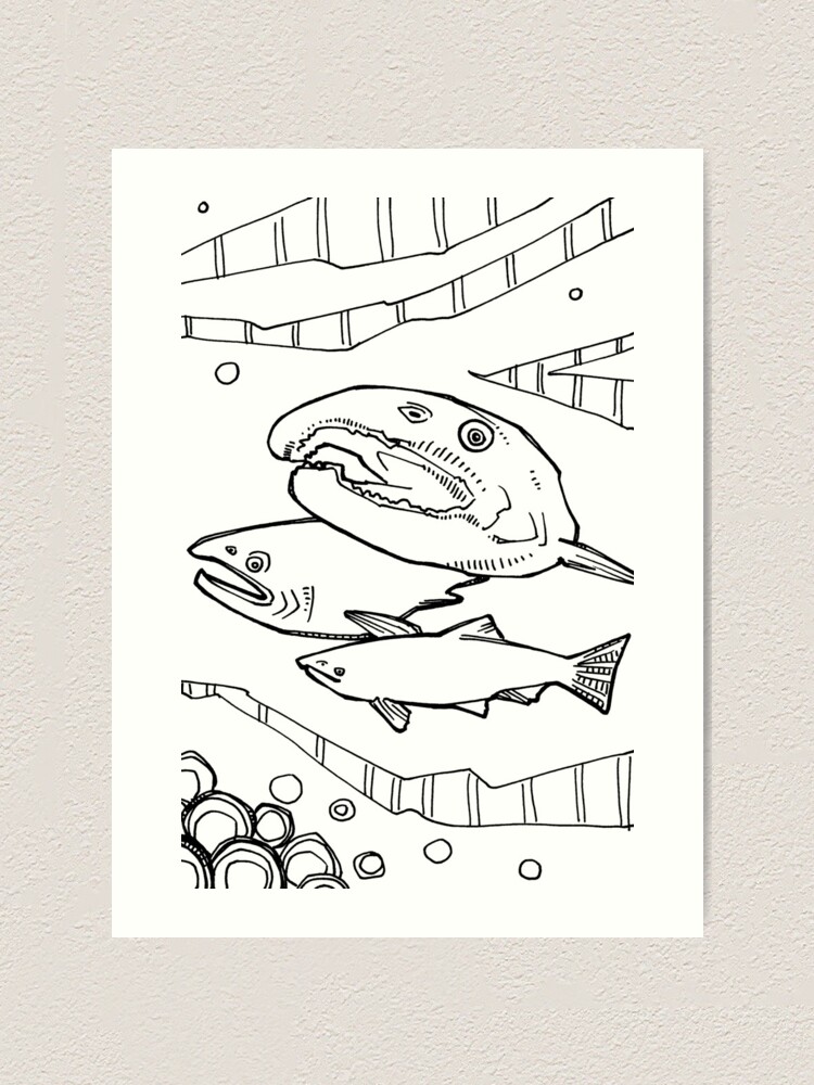 "Coho Salmon, Coloring Book Page" Art Print for Sale by gwennpaints