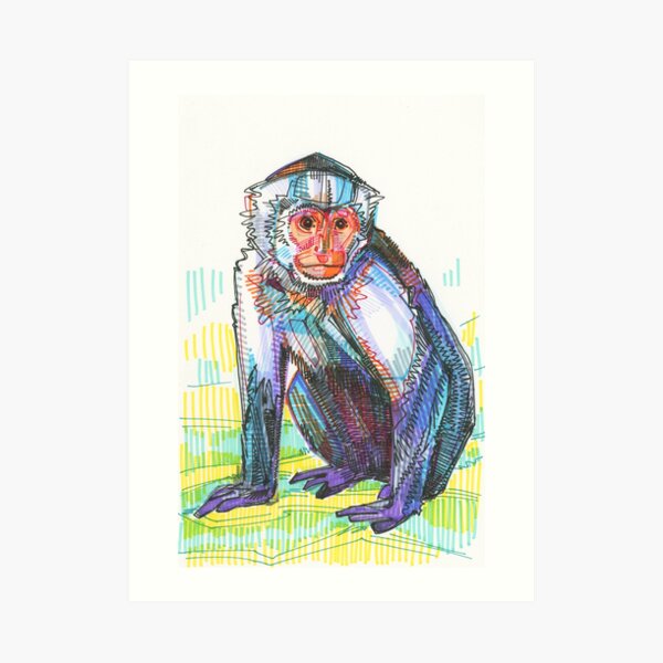 Capucin Monkey Drawing - 2015 Art Print