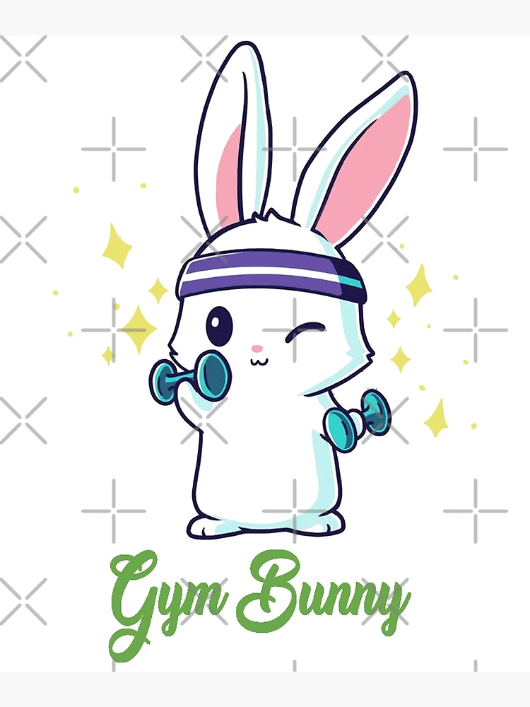 [ KIRSH ]★WITTY BUNNY YOUTHHOSTEL GRAPHIC GYM SACK Witty BUNNY ユースホステル グラフィック ジムサック [ブラック