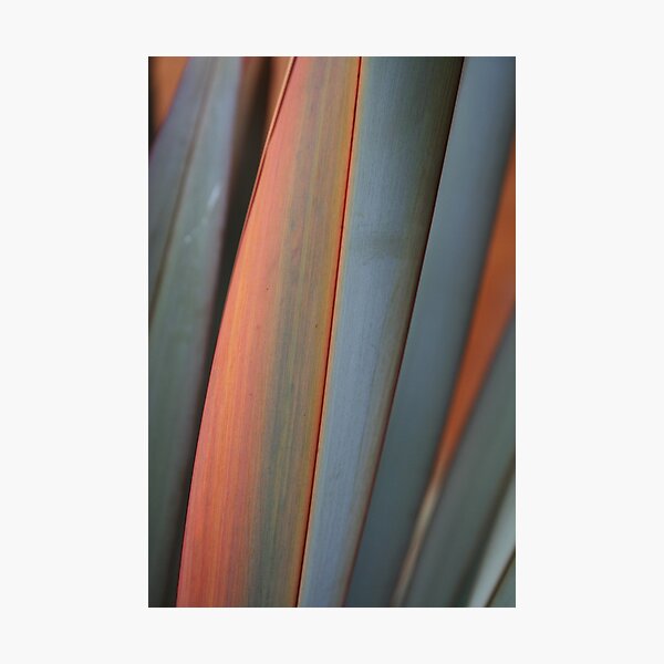 Item preview, Grey and Orange Leaves designed and sold by Gwenn Seemel.