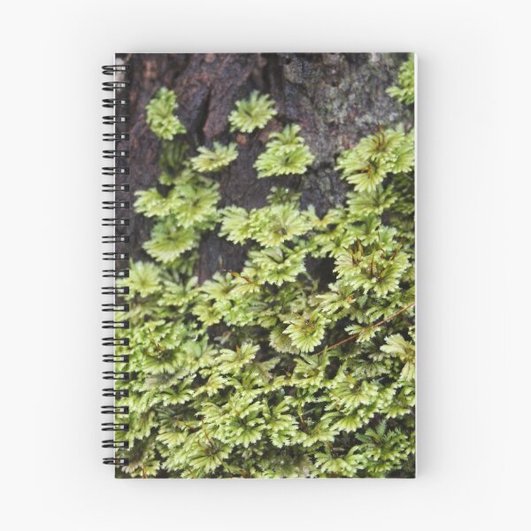 Item preview, Moss and tree designed and sold by TwoShoes.
