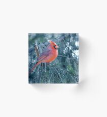 Cardinal Acrylic Block