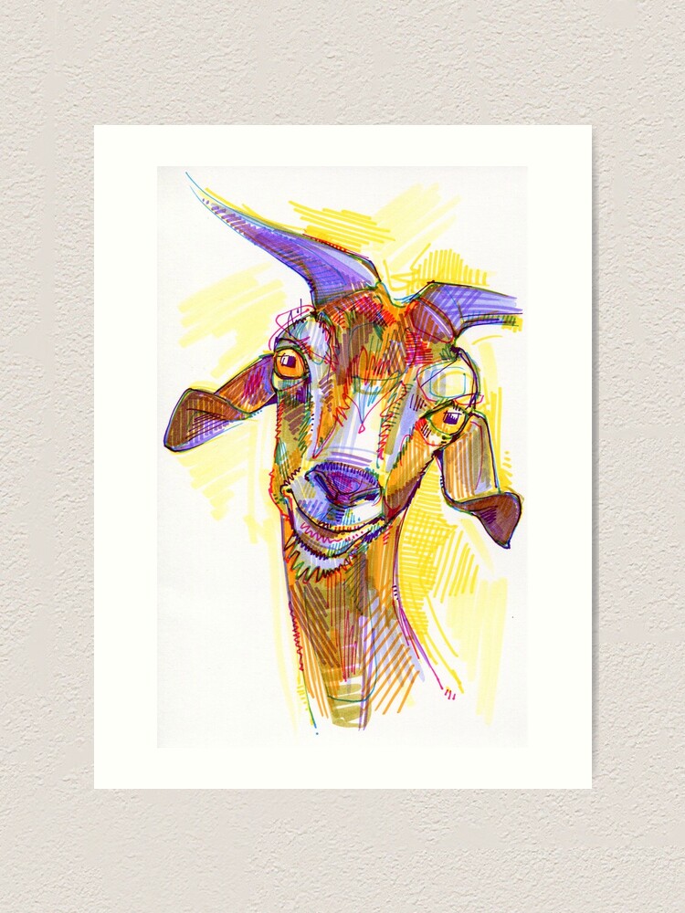 Alternate view of Goat drawing - 2011 Art Print