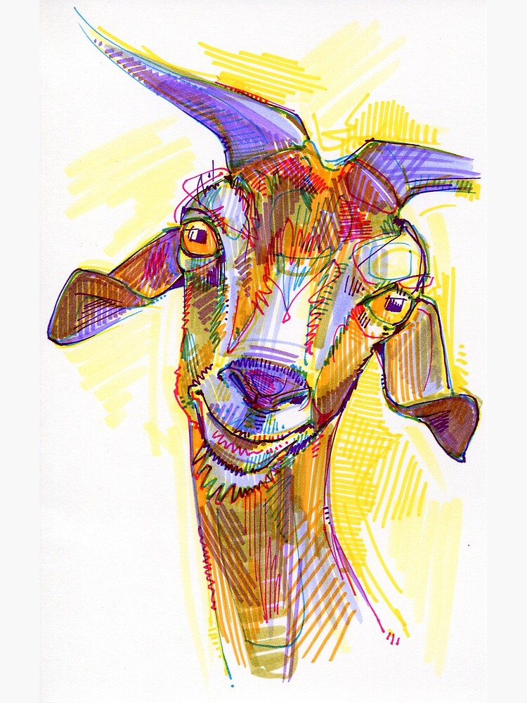 Goat drawing - 2011 by gwennpaints