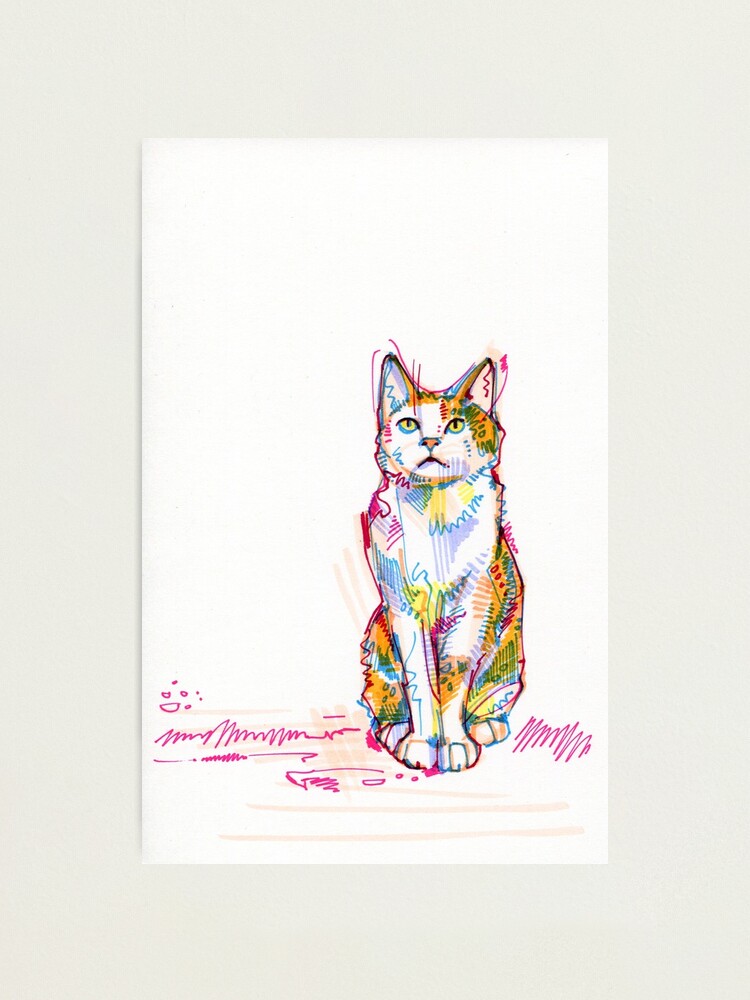 Alternate view of Cat Drawing - 2011 Photographic Print