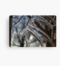 Icy Fingers Canvas Print