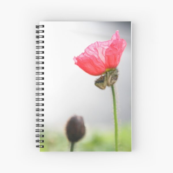 Item preview, Pink Poppy  designed and sold by Gwenn Seemel.