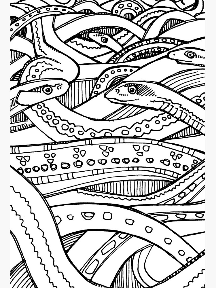 Coloring Page  Coloring pages, Snake coloring pages, Coloring books